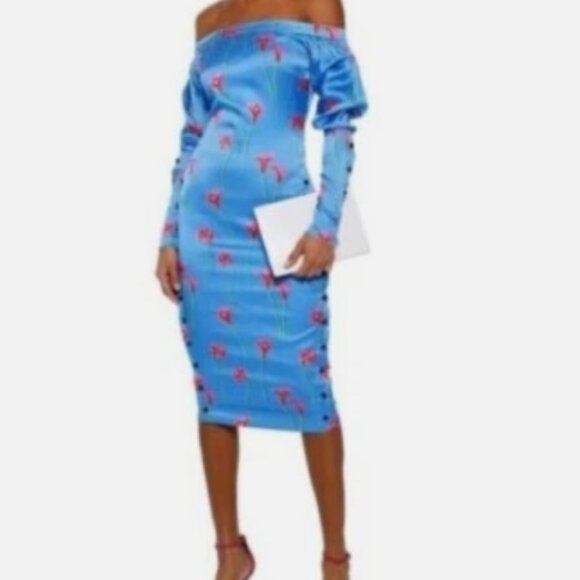 Caroline Constas Pre-fall NY 2019 Collection Dania Lilly Dress in Blue XS $598 - Picture 10 of 12